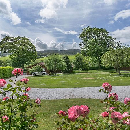 Laburnum Lodge Sleeps 6 Wheelchair Access Minehead Buitenkant foto