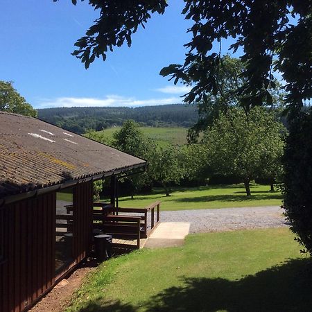 Laburnum Lodge Sleeps 6 Wheelchair Access Minehead Buitenkant foto